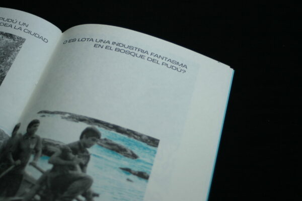 eCo-laboratorio de lectoescritura posindustrial  - Louta / Kolkura, pewü, 2021 E.C. - Imagen 3