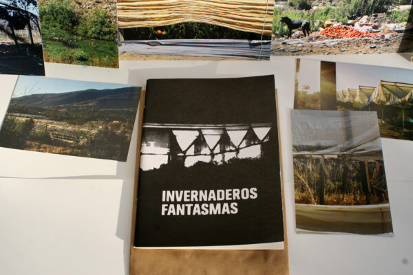 Monstruos Posindustriales. Expediente N°1: Invernaderos Fantasmas – Museo Pelumpen - Imagen 4