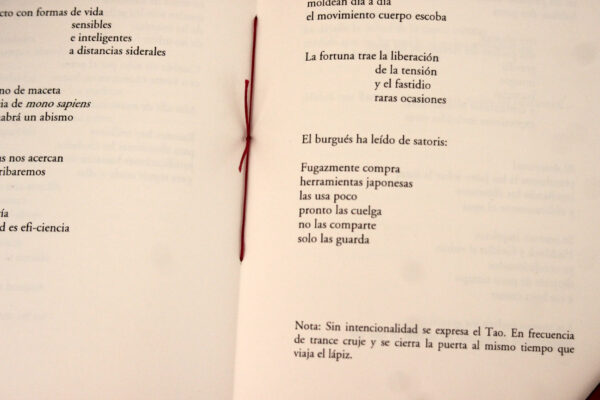 Los cuadernos de Luza Guas - Imagen 4