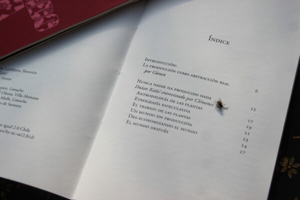Nunca nadie ha producido nada – Dušan Kažić entrevistado por Clémence Seurat - Imagen 4
