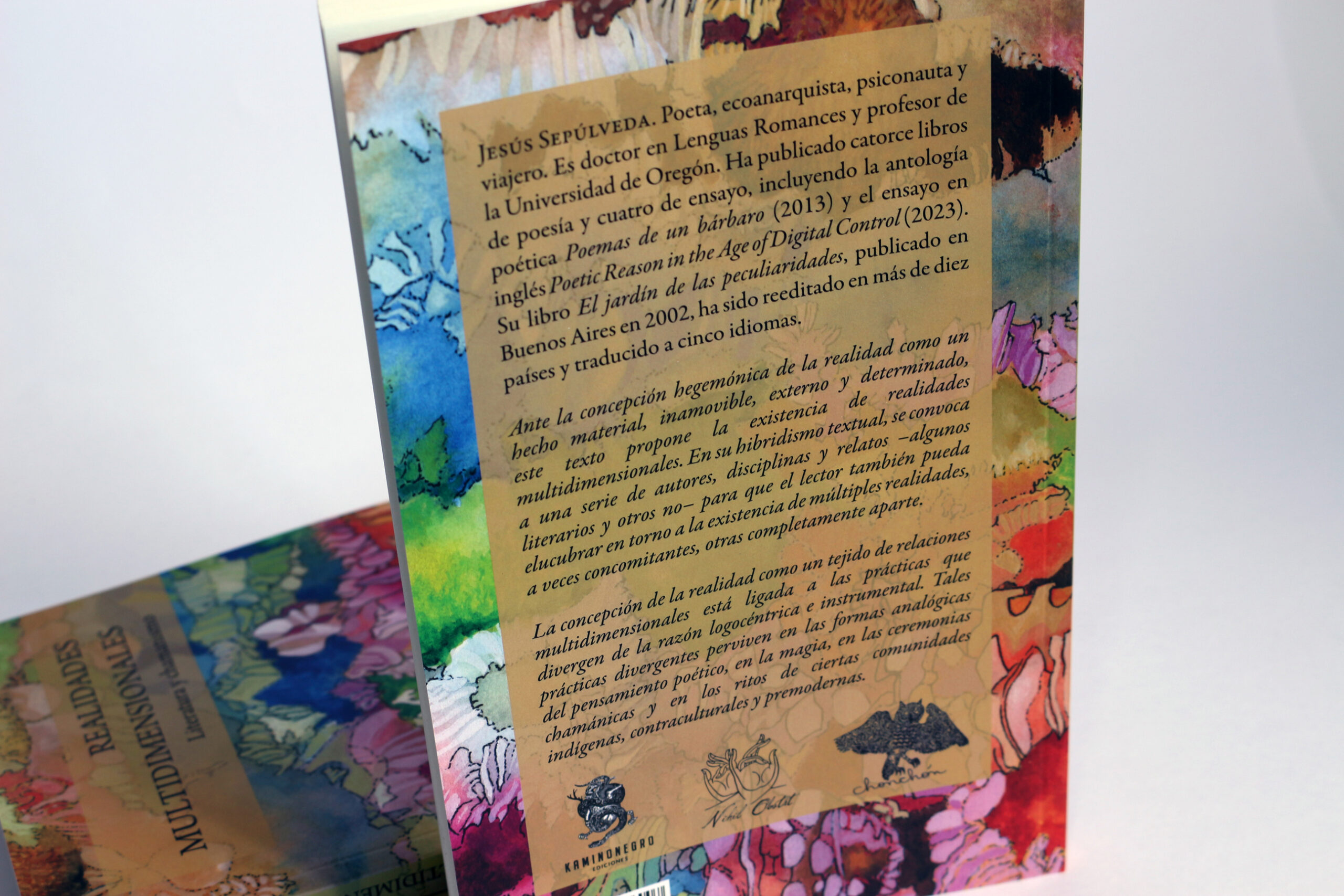 Realidades multidimensionales: Literatura y chamanismo – Jesús Sepúlveda - Imagen 4